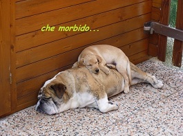 achille e charly